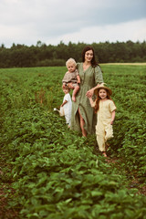 Naklejka na ściany i meble Beautiful young caucasian mother with children in a linen dress with a basket of strawberries gathers a new crop and has fun with the children