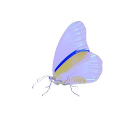3d illustration of the butterfly