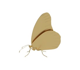 3d illustration of the butterfly