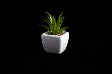 House Plant Vase 002