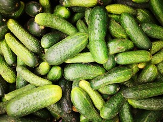 fresh organic cumcumbers full frame at market