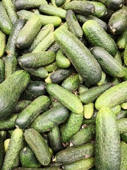 fresh organic cumcumbers full frame at market