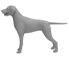 3d illustration of the dog