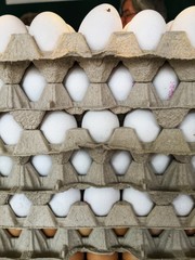 eggshell cartons with eggs