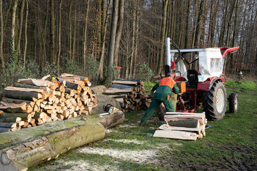 Waldbauern bzw. Waldarbeiter schneiden und verkleinern gefällte Bäume zu Brennholz. Forsttechnik...