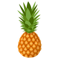 Fresh whole pineapple fruit isolated on white background. Summer fruits for healthy lifestyle. Organic fruit. Cartoon style. Vector illustration for any design.