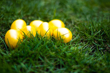 Golden color Easter eggs on the green grass. Side view. Easter 2020