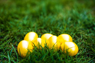 Golden color Easter eggs on the green grass. Side view. Easter 2020