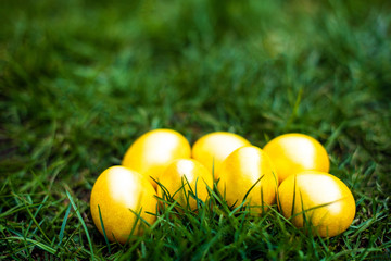 Golden color Easter eggs on the green grass. Side view. Easter 2020