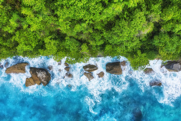 Kust als achtergrond van bovenaanzicht. Blauwe waterachtergrond en bos van bovenaanzicht. Zomer zeegezicht vanuit de lucht. Bali eiland, Indonesië. Reizen - afbeelding