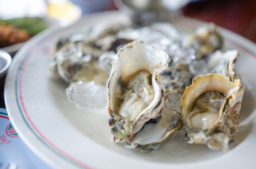 Oysters on a plate with serving