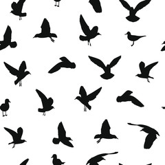 River gulls silhouette  black isolated vector seamless pattern  