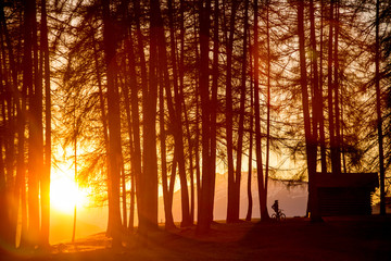 Person standing next to a little hut in the woods during sunset with a bike