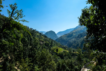 View on Himalayas along Annapurna Circuit Trek, Nepal. There is a dense forest in front. High, snow caped mountains' peaks catching the sunbeams. Serenity and calmness. Barren slopes