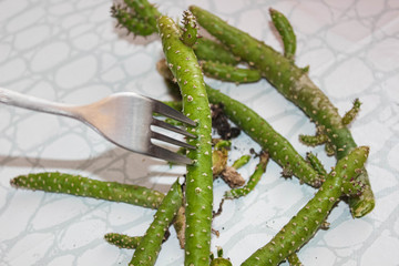 Naklejka premium Cut cactus sprouts are hooked with a food fork.