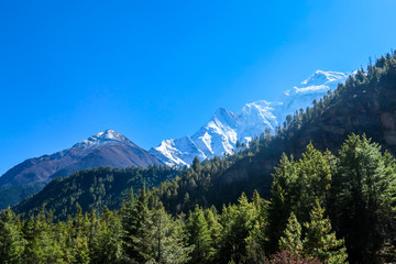 A view on Himalayan valley along Annapurna Circuit Trek, Nepal. There is a dense forest in front. High, snow caped mountains' peaks catching the sunbeams. Serenity and calmness. Barren slopes