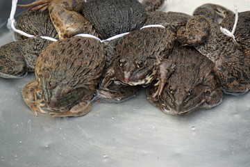 street market in ho chi minh city