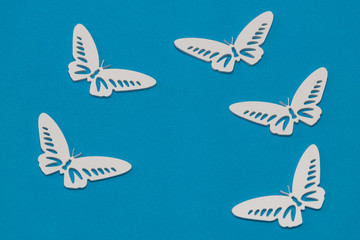 White butterflies on a blue background, a creative minimal concept, copy space.