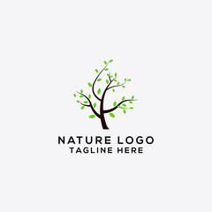 tree and leaf logo design - vector