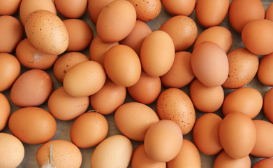 viele Hühnereier Eier braun Freilandeier Landeier 