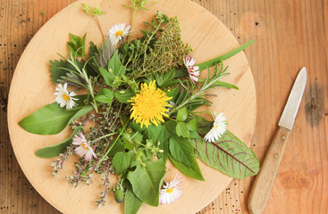 frischer Wildkräutersalat Wildkräuter Salat Tisch Teller Brett