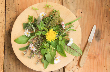 Wildkräutersalat Wildkräuter Salat Teller Wild Kräuter essbare Blüten Blätter Top View overhead