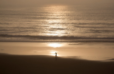 ocean sea sunset surf beach