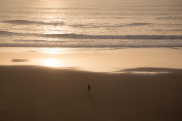 ocean sea sunset surf beach