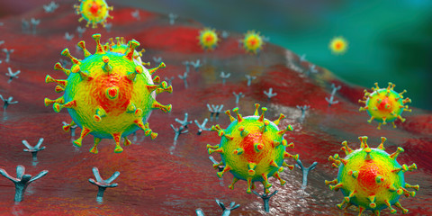 Fototapeta na wymiar SARS-CoV-2 virus binding to ACE2 receptors on a human cell