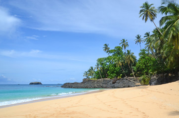 Fototapeta na wymiar Tropican Beach Island Palm Trees