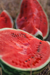 Watermelon on the natural background