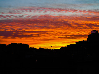 Genova, Italy - 04/08/2020: An amazing view from the window of some birds and beautiful sunset over the city while quarantining from home in Italy.