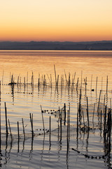 Atardecer en la albufera de Valencia