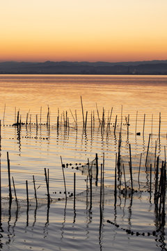 Atardecer en la albufera de Valencia