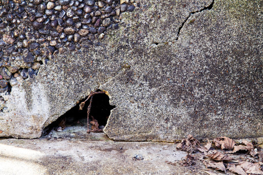 Hole under a concrete step an appealing nest place for animal; grunge texture with rocks, cracks and leaves