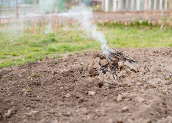 bonfire in the garden in spring. spring garden work