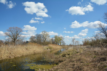 A beautiful wild early spring landscape with narrow river flowing through a dry grass meadow.