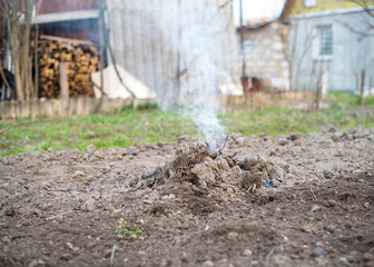 bonfire in the garden in spring. spring garden work