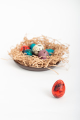 Multi-colored quail eggs for Easter in the filler