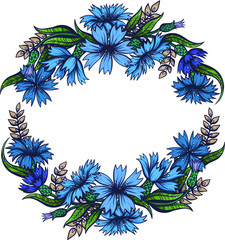 Vector Color Cornflower Frame Illustration