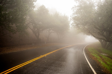 A rural road on a foggy day in winter.