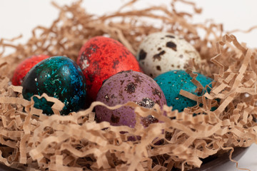 Multi-colored quail eggs for Easter in the filler