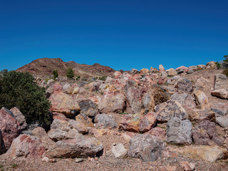 Nature landscape around Nature Discovery Trail and Rock Garden