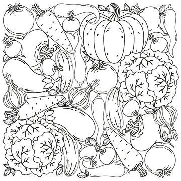 Vector black and white coloring book for adults. Harvest vegetables for Thanksgiving. Ripe beets, carrots, eggplants, tomatoes, cabbage, pumpkin