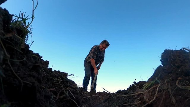 agricoltore semina del terreno