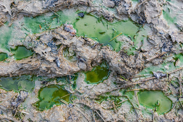 Detail of contaminated green water in the brown mud