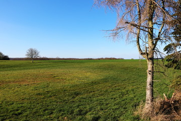 Frühling / Idylle / idyllische, weite Landschaft mit strahlendem Sonnenschein - freie Pläne