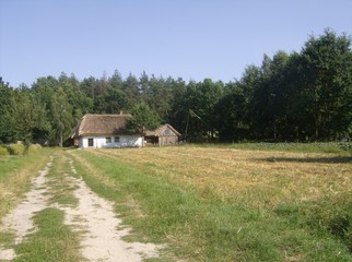 Niespodzianki przy drodze 