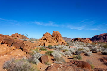 las Vegas, Arizona,USA - 2020/01/04 - winter trip to Valley of Fire National Park