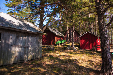 Sweden on the island within the forest with sheds
